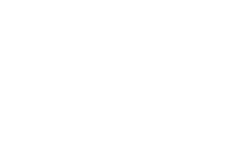 TOP CRUISE AGENCY