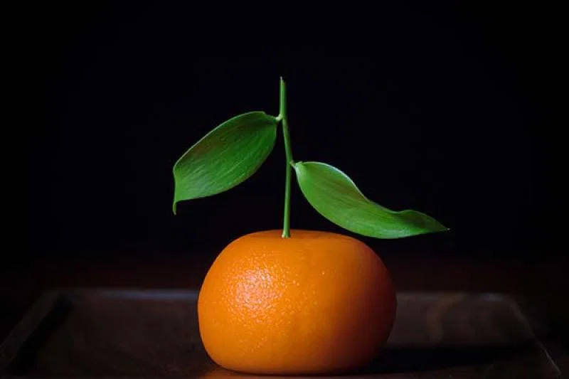 The Meat Fruit dish, where chicken liver parfait masquerades as a mandarin