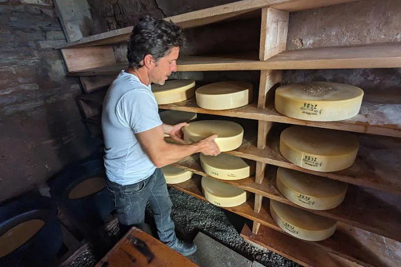 Gstaad cheese