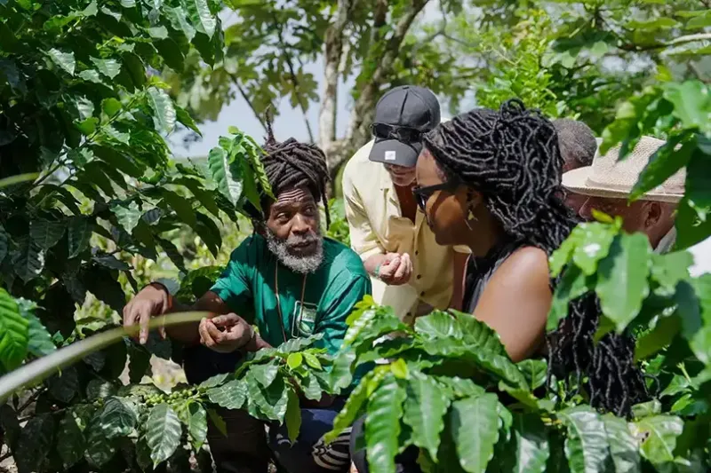 Tour an organic farm in St Kitts