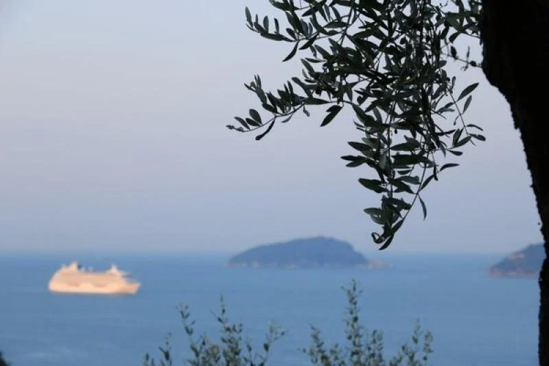 Crystal Serenity, Crystal Cruises, June 2024.jpg
