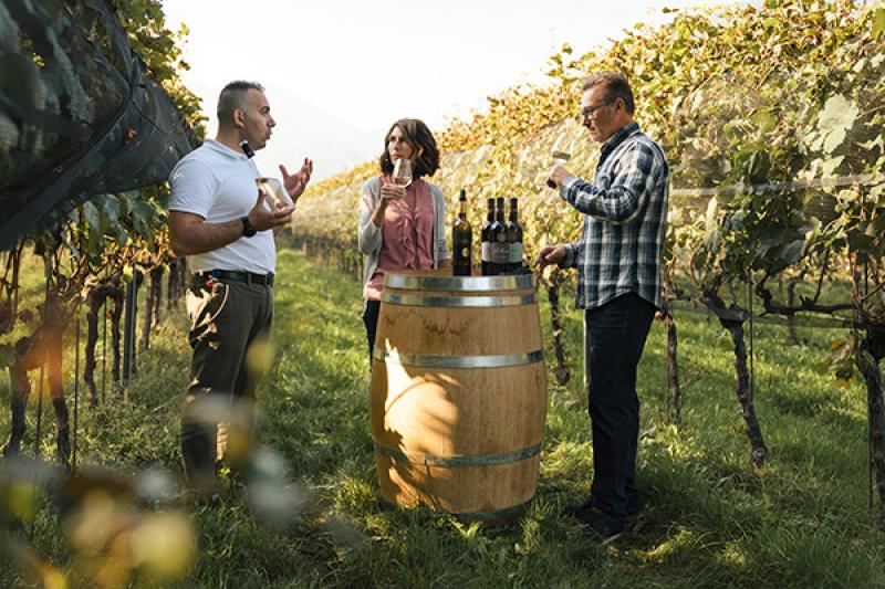 2. Wine tasting