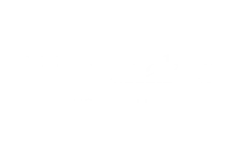 Wavemaker