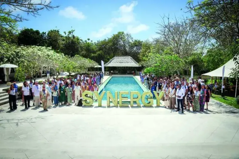 Synergy group pic