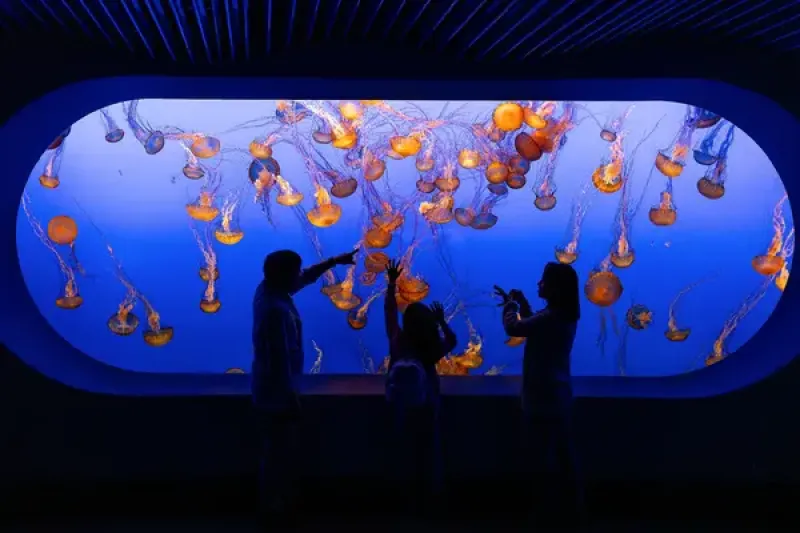 Monterey Bay Aquarium