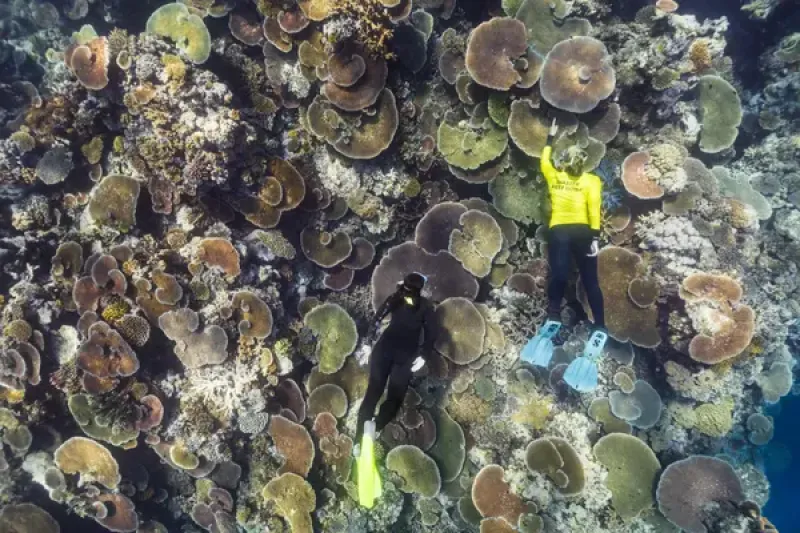 Great Barrier Reef