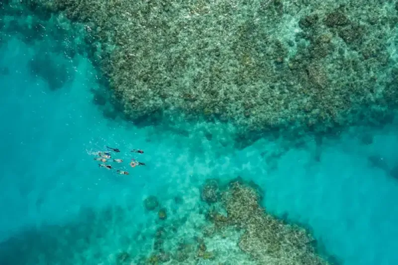 Great Barrier Reef