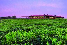 Nyungwe House OONH-lodges-hero-1440x900-min.jpg