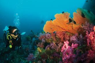 Rediscover Thailand's charm