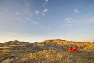 Grasslands